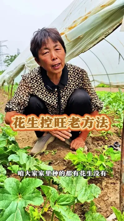 大家家庭小面积花生的的可以采用这种老式控旺的小方法#花生 #花生控旺 #三农 #蔬菜杨大姐 #种植小技巧 @抖音创作小助手 @DOU+上热门 @DOU+小助手