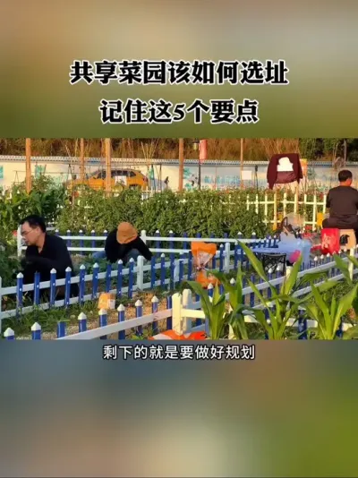 选址对了，项目就成功了一半！共享菜园如何选址？切记这5个要点！#共享菜园 #新农人 #农场 #休闲农业 #共享农场