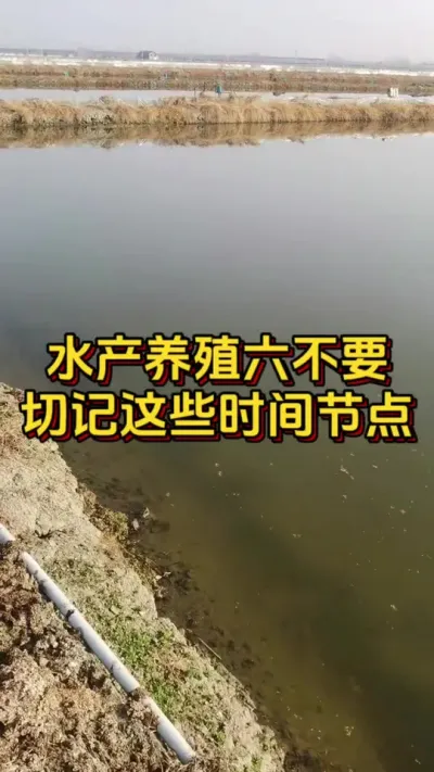 水产养殖六不要，切记这些时间节点#小棚养虾 #水产人 #南美白对虾 #养虾人 #嘉骏新水产