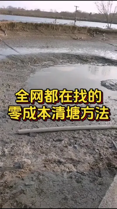 全网都在找的，零成本清塘方法#对虾养殖 #养虾人 #南美白对虾 #嘉骏集团 #嘉骏新水产