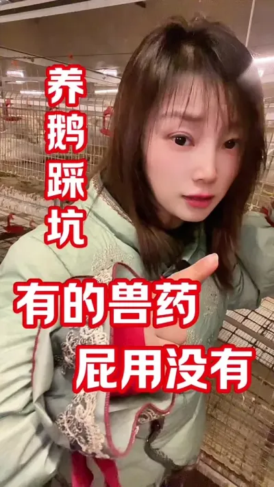 成功养鹅顺序：管理 防控 药物&hellip;&hellip;顺序绝不能颠倒#养鹅人 #养鹅技术分享 #农村创业养殖
