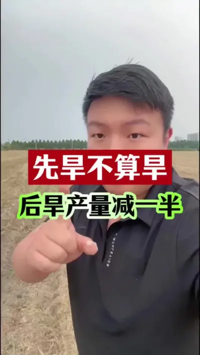先旱不算旱，后旱产量减一半！ #玉米种植 #玉米苗期管理 #种植小技巧 #玉米高产管理