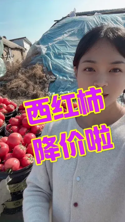 #西红柿种植#我的种植生活 #西红柿价格 点个关注 相互学习吧@抖音小助手