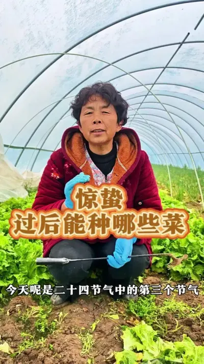 二十四节气之惊蛰，惊蛰过后能种哪些蔬菜呢！#应季蔬菜时间表 #惊蛰节气 #三农节气 #三农流量扶持计划 #蔬菜杨大姐 @DOU+小助手 @DOU+上热门 @抖音创作小助手