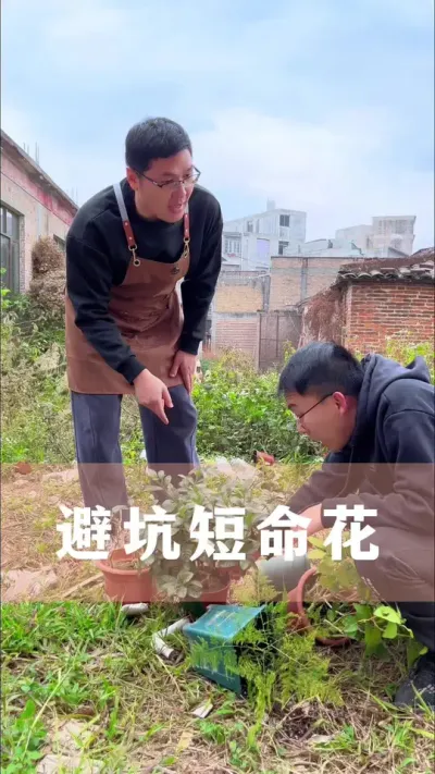 少买这些短命花，太多坑#花卉绿植 #植物养护 #养花小知识 #爱生活爱养花