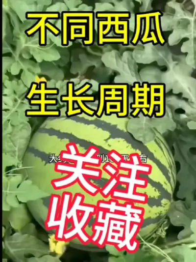 #抖音助农 #跟抖音学农技 #农技知识分享