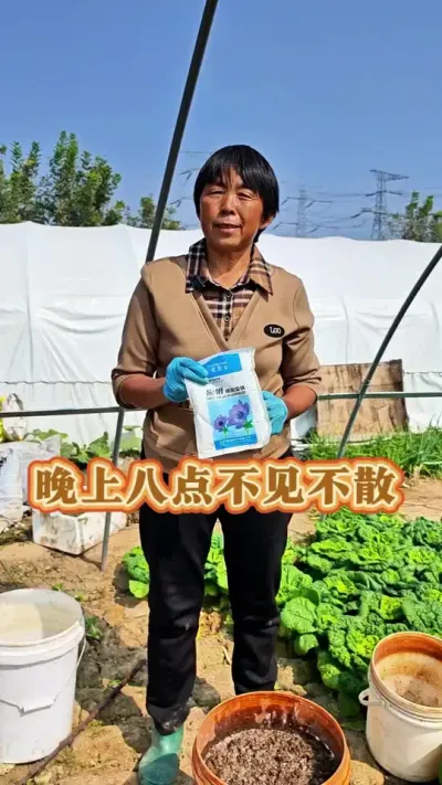 晚上八点直播间不见不算#三农 #种植小技巧 #抖音助农 #蔬菜杨大姐 #肥水 @DOU+小助手 @DOU+上热门 @抖音创作小助手