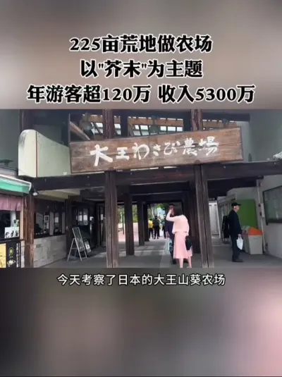 225亩荒地做农场，以芥末为主题，虽然地处偏僻，但年接待游客却能做到120万人，收入5300万，怎么做到的？#农场 #休闲农业 #新农人 #农庄 #三产融合
