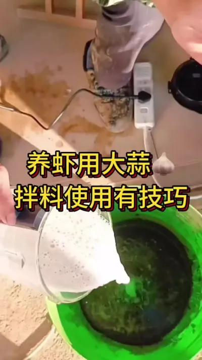 #李新聊对虾#南美白对虾养殖#嘉骏新水产#嘉骏集团 养虾用大蒜，拌料使用有技巧