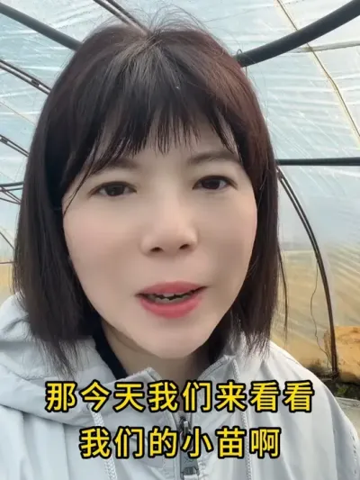 见苗三分喜 #农业种植 #农业大棚 #种植小技巧 #现代农业 #服务三农支持三农