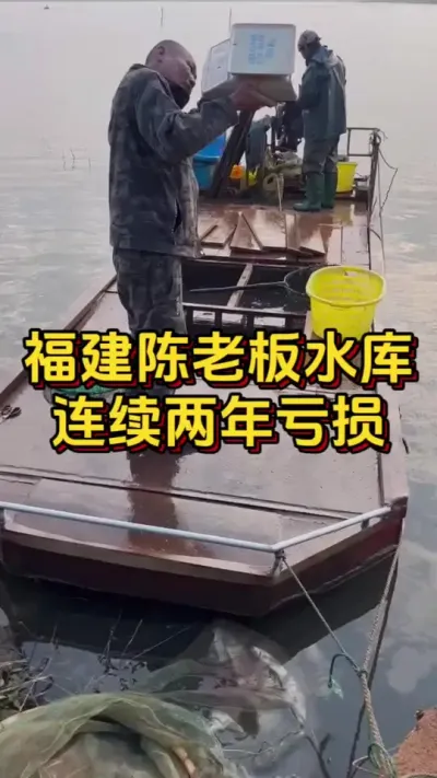 福建陈老板水库连续两年亏损#小棚养虾 #养虾人 #水产人 #南美白对虾 #对虾养殖