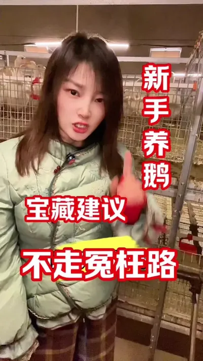 养鹅还是打工？#农村创业养殖 #养鹅人 #养鹅#每天分享养殖技术和经验