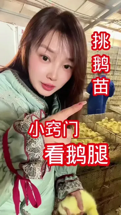 挑选鹅苗的小窍门#农村创业养殖 #养鹅人#养鹅