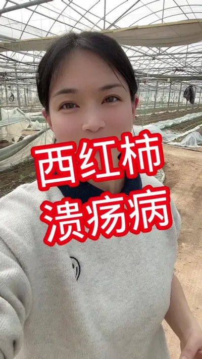 #西红柿种植#记录我的种植生活  点个关注互相学习吧@抖音小助手