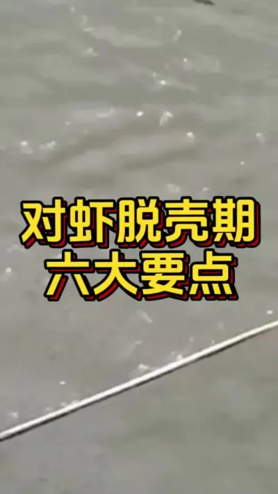 对虾脱壳期的六大要点#水产人 #养虾人 #水产养殖 #嘉骏新水产 #嘉骏集团