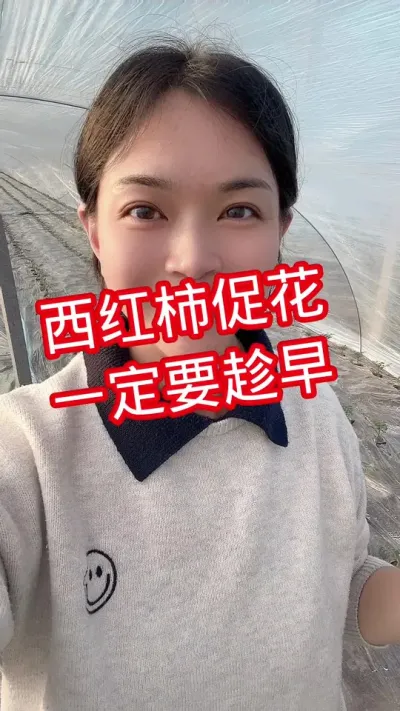 #西红柿种植#大棚种植 #记录我的种植生活  点个关注 互相学习@抖音小助手