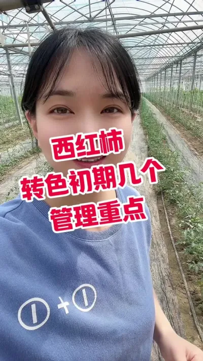 #记录我的种植生活 #大棚种植 #西红柿种植  点个关注 互相学习吧 @抖音小助手