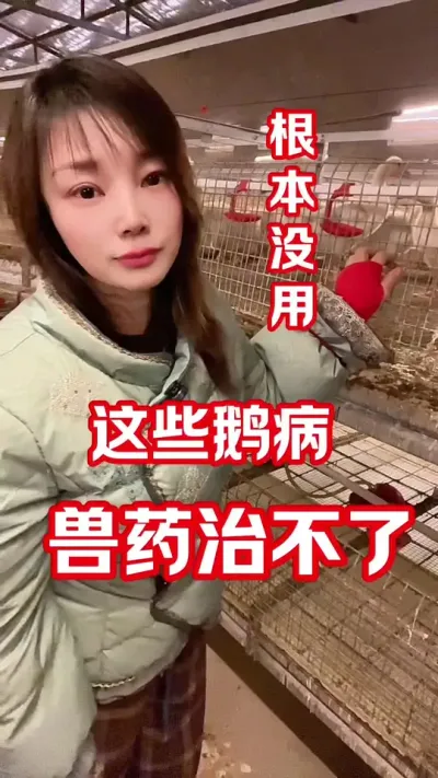 兽药不是&ldquo;万能&rdquo;的，别被忽悠了&hellip;&hellip;#农村创业养殖 #养鹅人 #养鹅技术分享