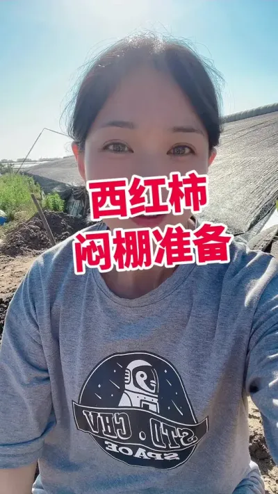 #西红柿种植#大棚西红柿#番茄种植#闷棚 点个关注 互相学习吧 @抖音小助手