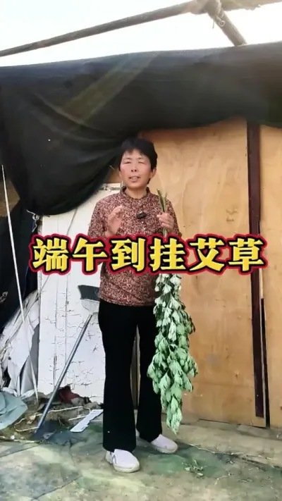 端午到挂艾草，祝大家端午安康！#端午节 #端午节安康 #蔬菜杨大姐 #艾草 #端午  @抖音创作小助手 @DOU+上热门 @DOU+小助手