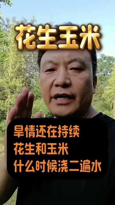 干旱情况下，花生和玉米什么时候浇二遍水？#分享农业知识帮农民增产增收 #花生浇水 #玉米浇水