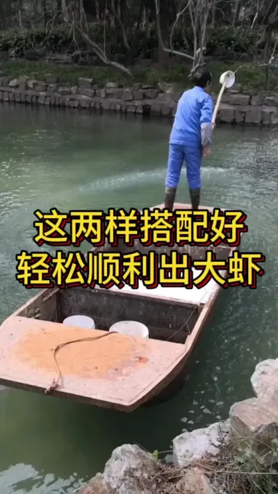 这两样搭配好轻松出大虾#水产人 #养虾人 #小棚养虾 #南美白对虾 #水产养殖