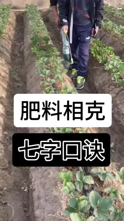 肥料相克七字口诀