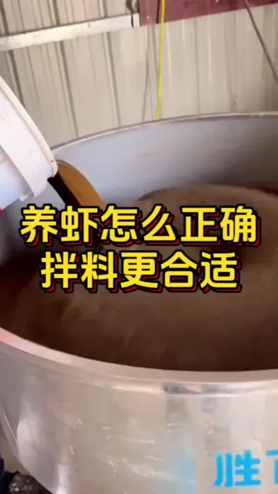 养虾怎么正确拌料更合适#水产养殖 #对虾养殖 #水产人 #嘉骏集团 #嘉骏新水产
