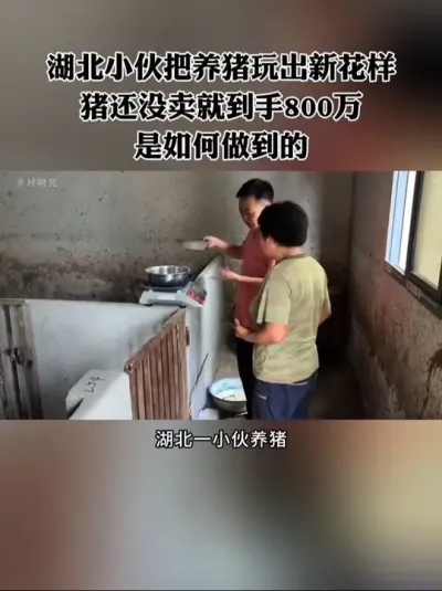 湖北这个小伙把养猪玩出了新花样，猪还没卖就到手800万，怎么做到的？#农场 #养猪 #农庄 #养猪人 #休闲农业