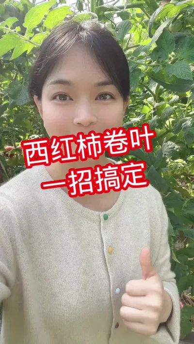 #西红柿种植#记录我的种植生活 #大棚西红柿 点个关注 互相学习吧 @抖音小助手