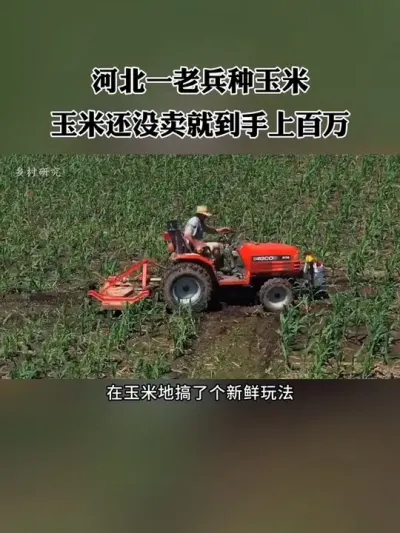 河北一老兵在玉米地里搞了个新鲜玩法，玉米还没卖就到手上百万，如何做到的？#新农人 #农场 #乡村振兴 #休闲农业 #三农