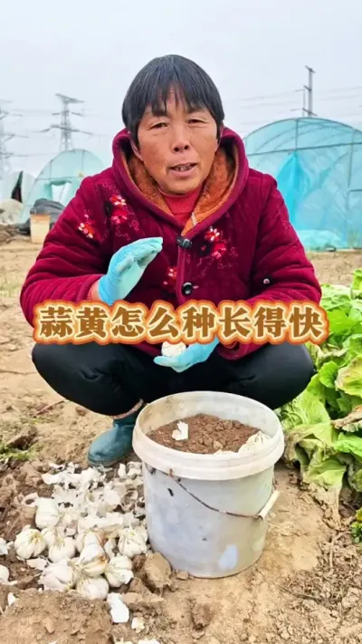 过年想吃蒜黄的可以安排起来啦！#蒜黄 #蒜黄种植 #蒜黄种植方法 #三农 #关注我一起学种菜 @DOU+上热门 @抖音创作小助手 @DOU+小助手