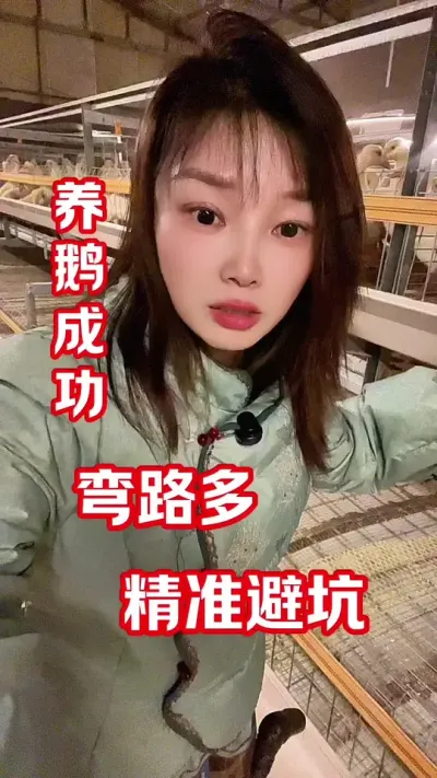 养鹅用药误区😳#养鹅人 #农村创业养殖 #养鹅技术分享