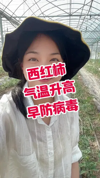 #记录我的种植生活 #西红柿种植 #病毒病 小黄车下单@抖音小助手