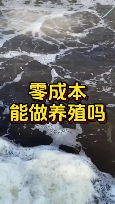 零成本能做养殖吗#水产养殖 #养虾人 #水产人 #嘉骏新水产 #嘉骏集团