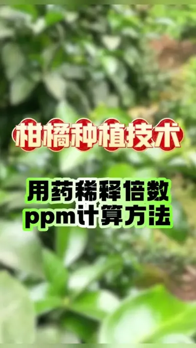 #dou上热门 柑橘用药稀释倍数详解 #柑橘种植 #种植小技巧 #三农 #赣南脐橙