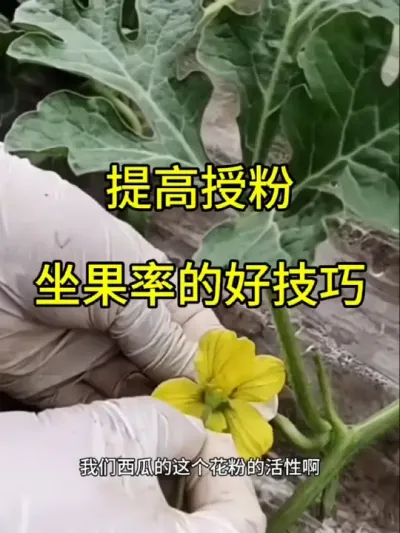 #抖音助农 #抖音助农扶农 #抖音农村人
