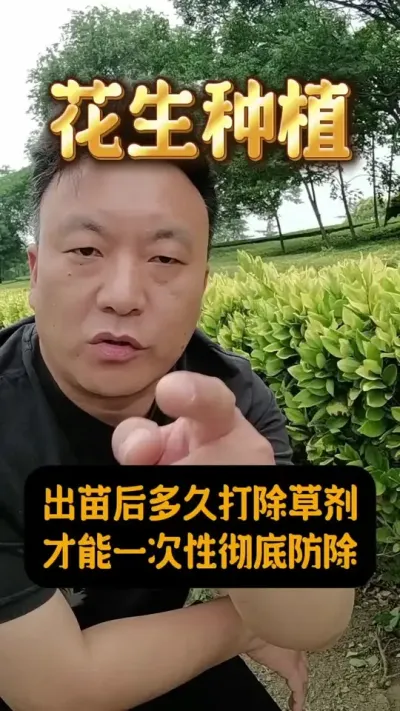 花生出苗后多久打除草剂？#花生种植管理技术 #花生除草剂