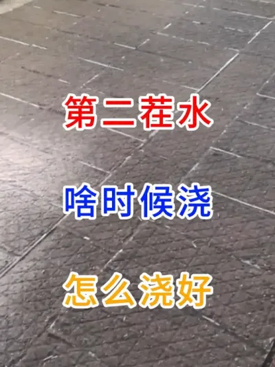 第二茬水啥时候浇，怎么浇好？ #记录我的劳动生活   #水稻种植技术   #分享农业知识帮农民增产增收   #农业种植 #三农