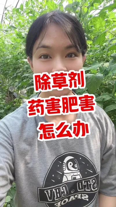 #大棚西红柿 #西红柿种植 #记录我的种植生活  #EM菌种 点个关注 互相学习吧@抖音小助手