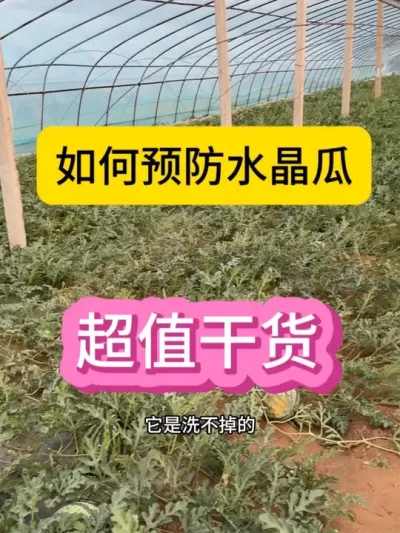 #抖音三农热点 #抖音助农在行动 #种植技术