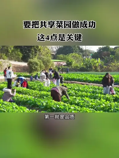 玩好共享菜园没那么简单，要想把共享菜园做成功，这4点是关键！#共享菜园 #农场 #新农人 #休闲农业 #共享农场