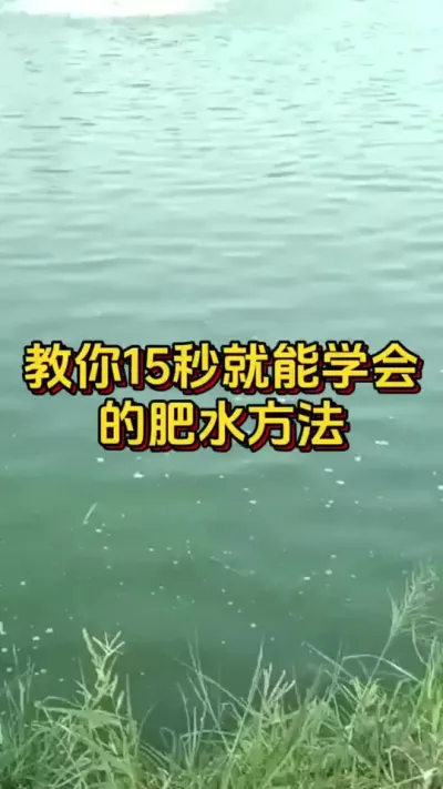 教你15秒就能学会的肥水方法#小棚养虾 #养虾人 #南美白对虾 #水产人 #水产养殖