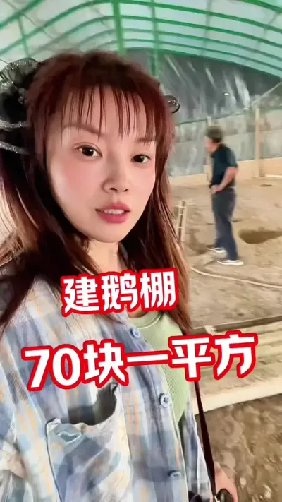 70块一平方的鹅棚～漂亮#养鹅人#养鹅技术分享 #养鹅#鹅棚