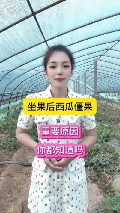 坐果后西瓜黑掉了，原因你都知道吗？