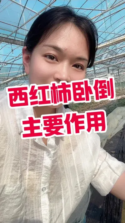 #西红柿卧倒 #记录我的种植生活 #西红柿  点个关注 互相学习吧@抖音小助手