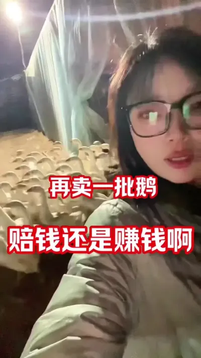 再卖一批鹅&hellip;&hellip;等了好久好久&hellip;&hellip;#养鹅人 #农村创业养殖 #鹅鹅鹅