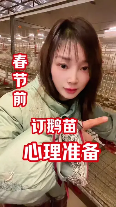春节前还定苗？玩笑开大了😆#养鹅人#农村创业养殖 #养鹅技术分享