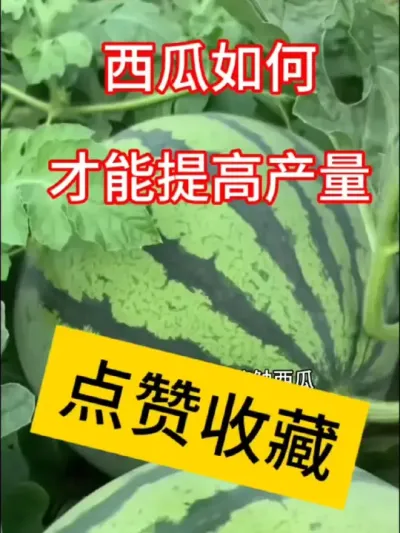 #抖音助农扶农 #种植小技巧 #助农知识