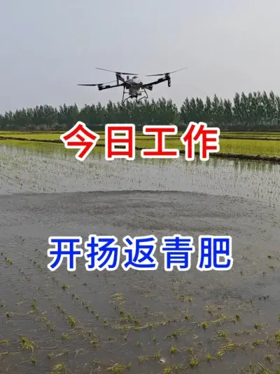 今日工作，开扬返青肥 #春耕农忙进行时   #农忙的季节为了生活都不容易啊  #三农  #水稻种植